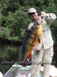 Amazon Peacock Bass Fishing
