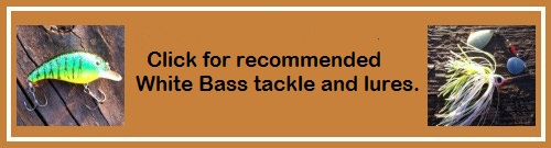 white bass lures