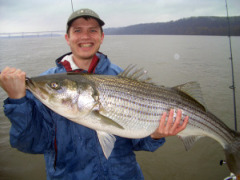 Trophy Fish, Lunker, Striper Catch