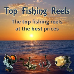 Top Fishing Reels