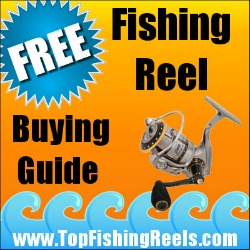 Top Fishing Reels