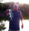 Largemouth bass on texas rigged worm