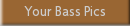 Your Bass Pics