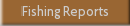 Fishing Reports