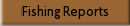 Fishing Reports