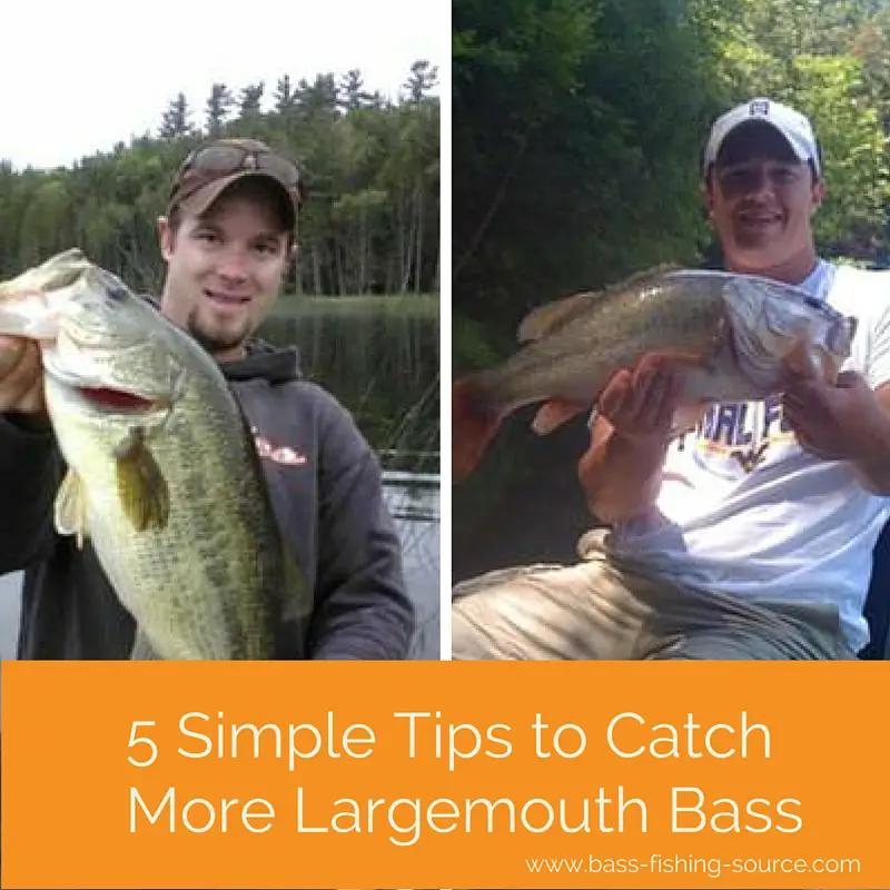 Tips for catching bass