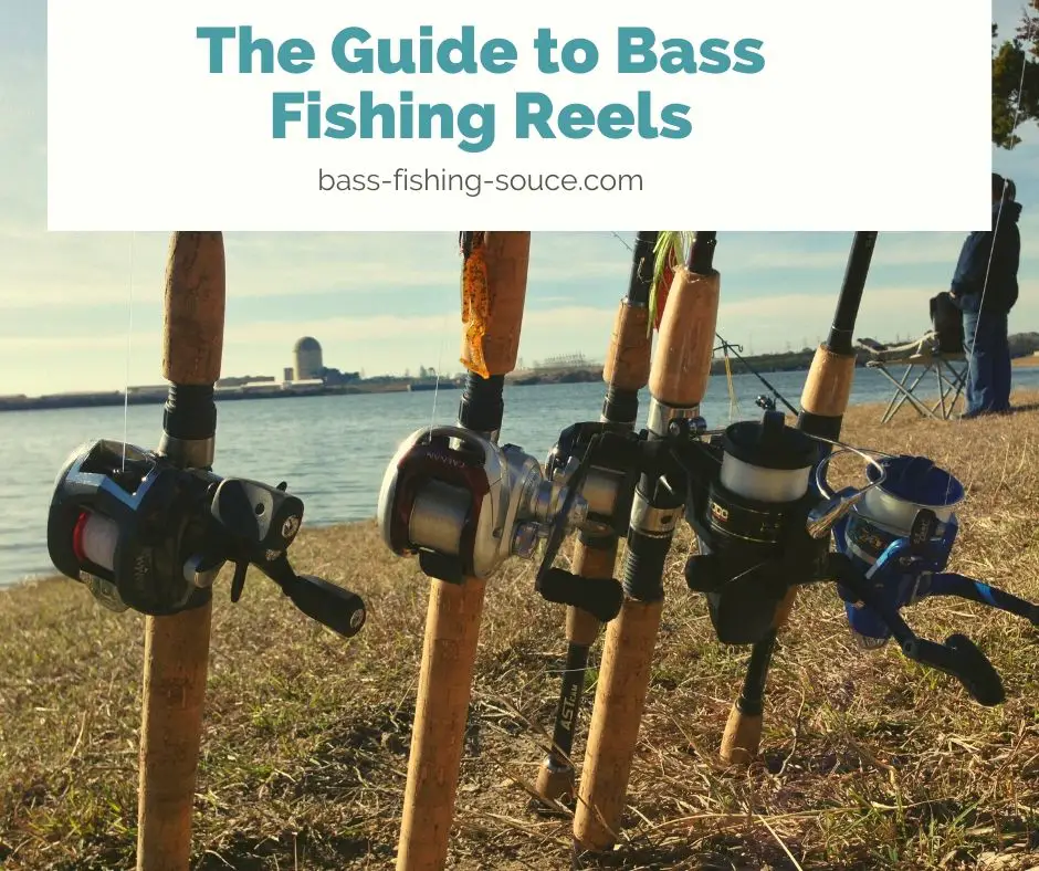 Types of bass fishing reels