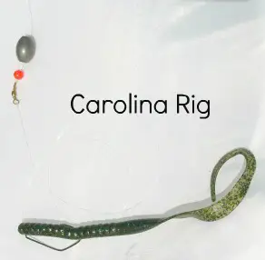 Carolina rig for bass fishing