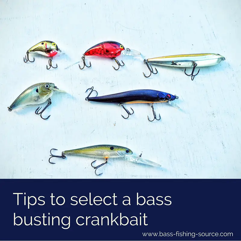 Shaping Up for Spring Crankbaits - In-Fisherman