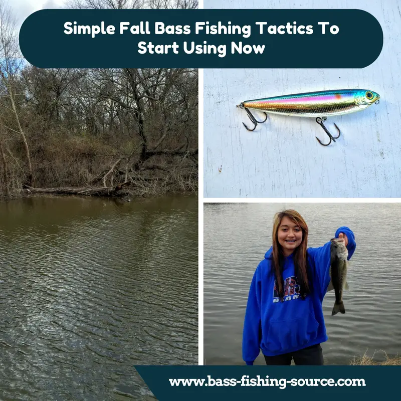 Simple Fall Bass Fishing Tactics to Start Using Now