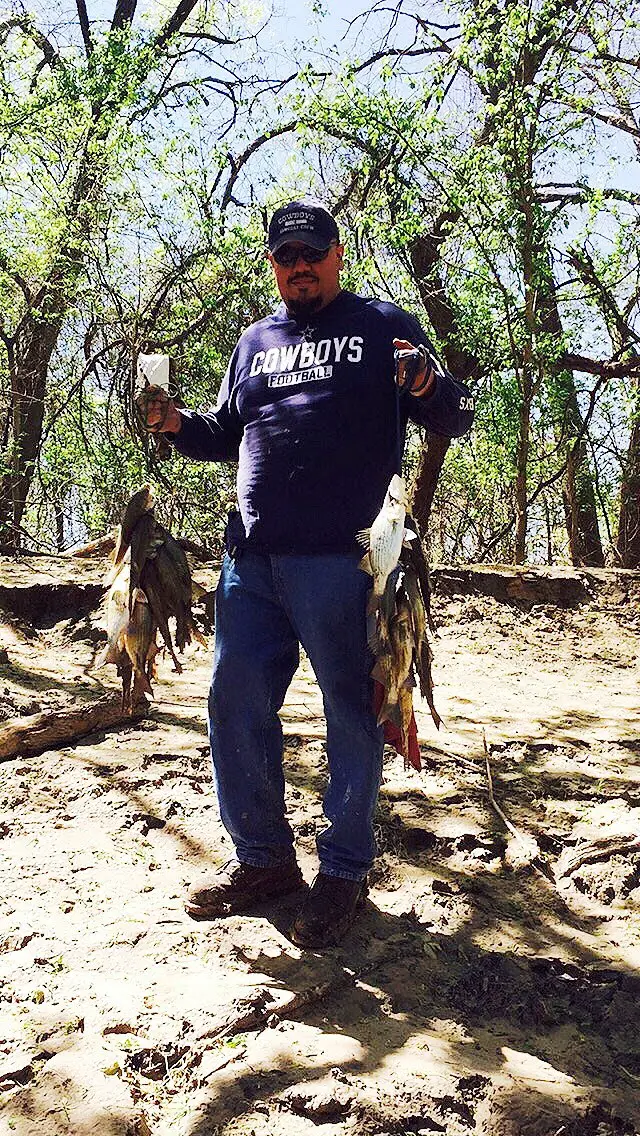 Stringers of white bass