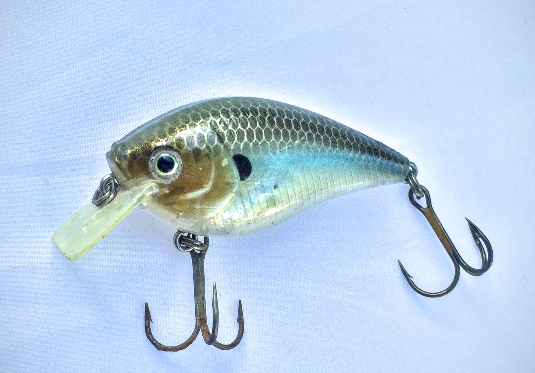 summer bass fishing square bill crankbait