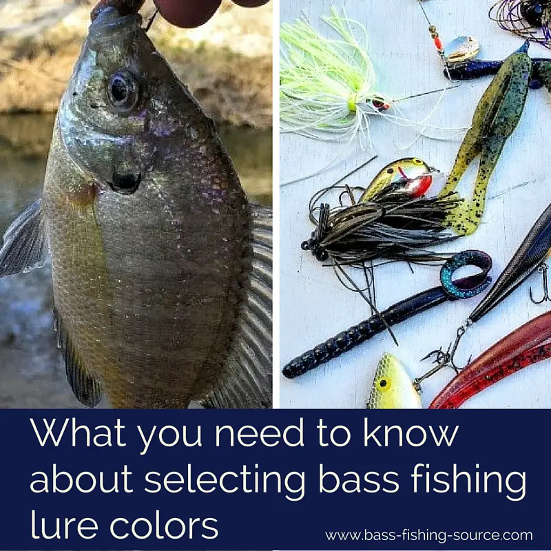 How select bass lure colors