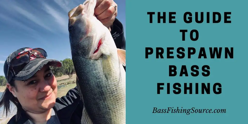 prespawn bass fishing