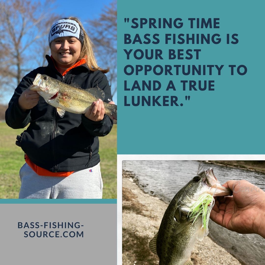 spring bass fishing