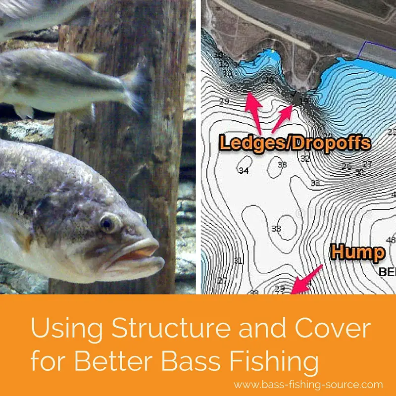 Understanding Structure and Cover for Better Bass Fishing
