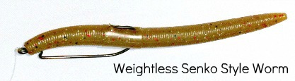 How To Rig and Fish A WEIGHTLESS SENKO For BASS! 