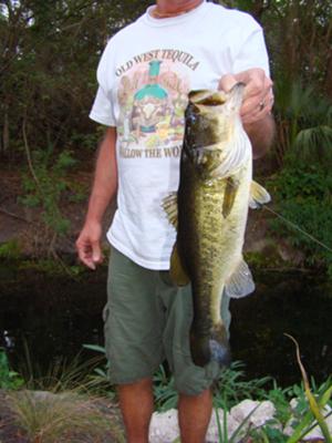 Big Backyard Bass