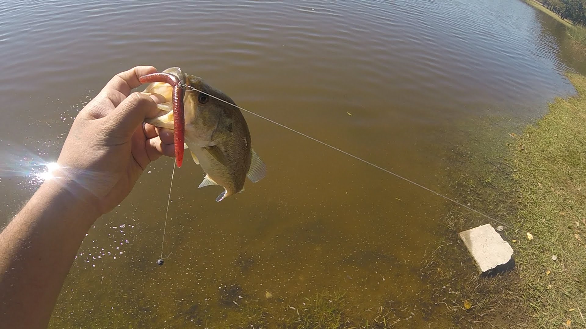spring bass fishing lures