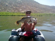 Catching Huge Bass