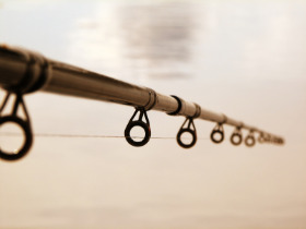 fishing rod