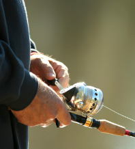 Spincast reel