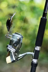 Spinning Reel