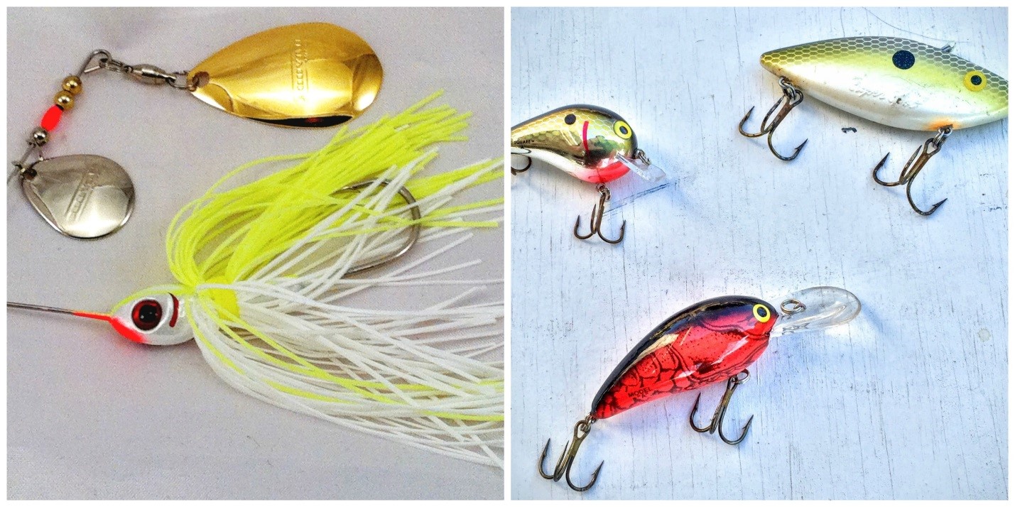 Using search baits for largemouth bass fishing