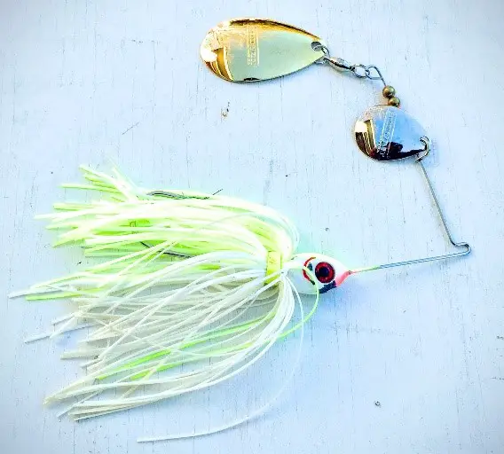 Spinnerbait selection