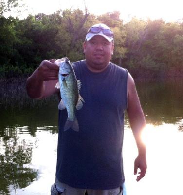 Largemouth bass on texas rigged worm