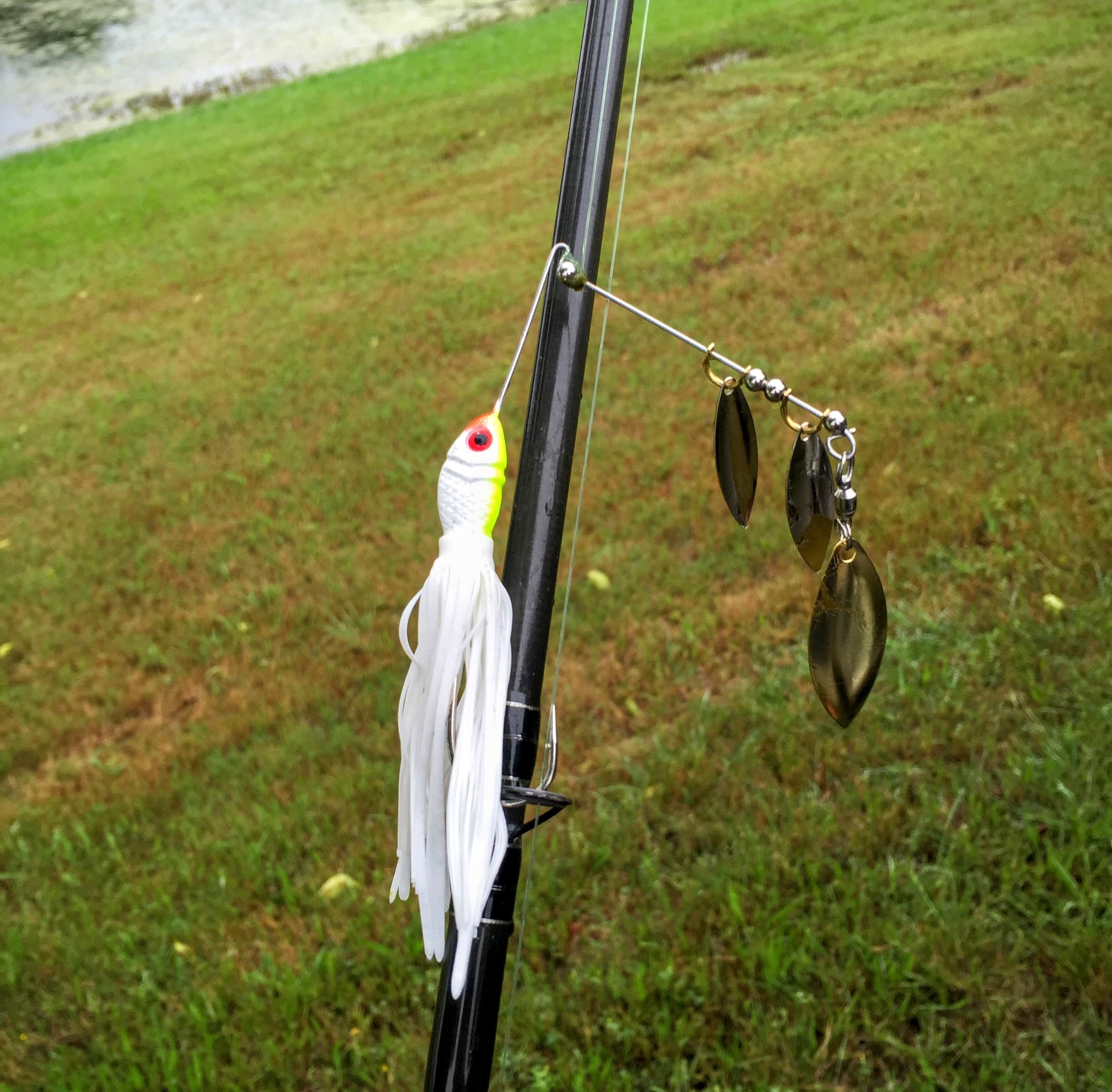 spinnerbait as a summer bass lure