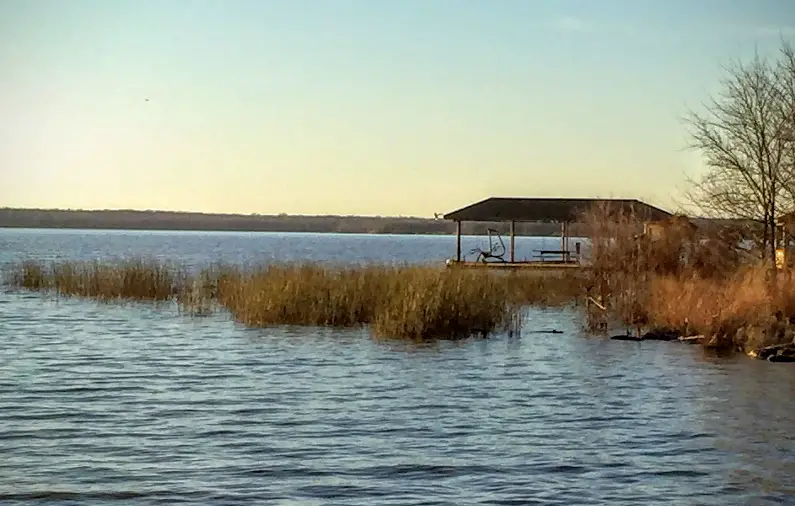Backs of creeks and weedlines for fall largemouth bass